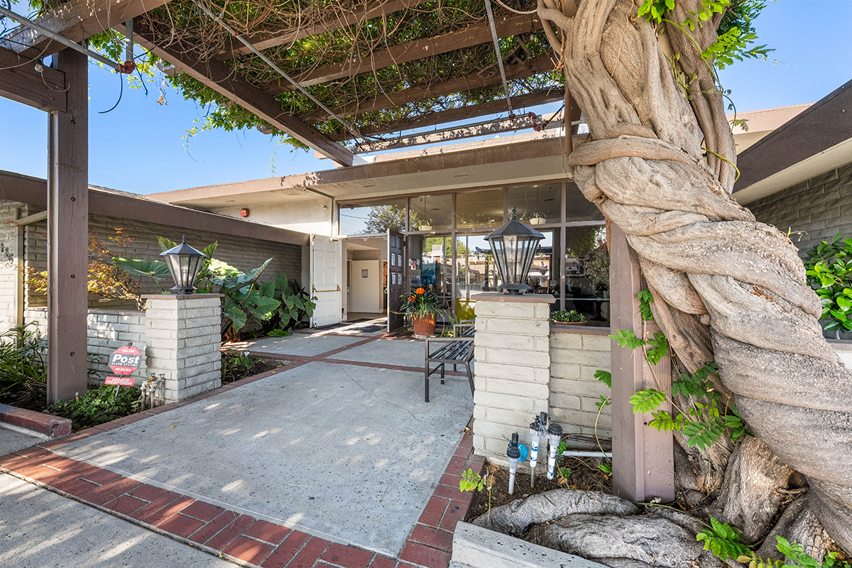 Entrance with lush greenery and decorative lighting features.